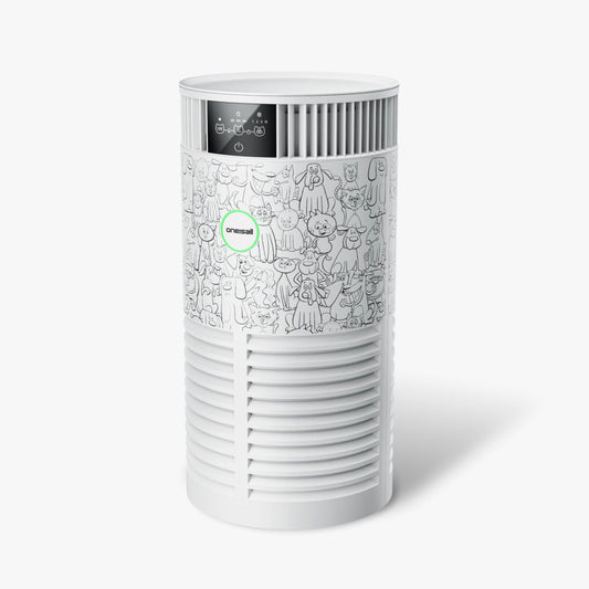 Oneisall PP01 Air Purifier for Pet Hair and Odor