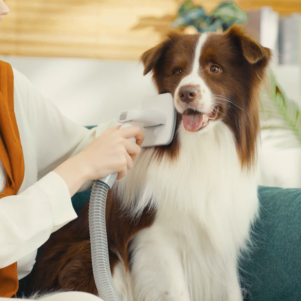 Oneisall LM2/LM5 Pet Grooming Vacuum Grooming Brush Replacement