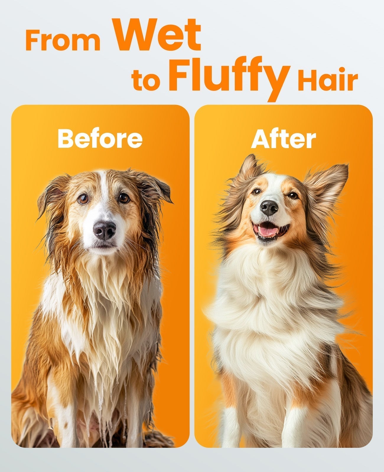 Oneisall MAS 3000W Dog Hair Dryer