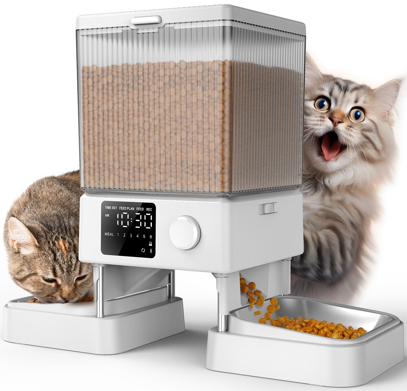 Oneisall 5L Automatic Cat Feeder for Two Cats-Black