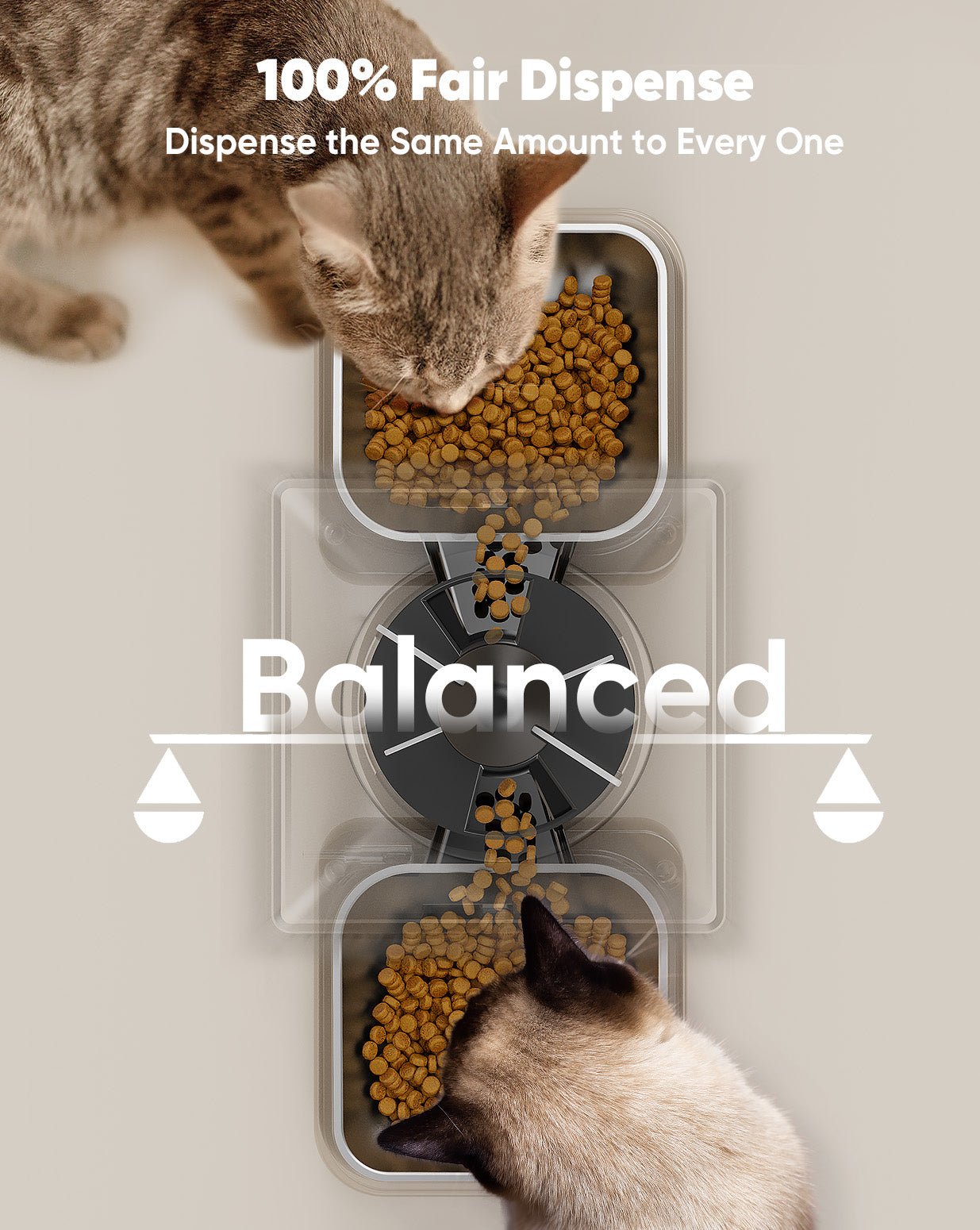 Oneisall 5L Automatic Cat Feeder for Two Cats-Black